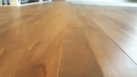 Maple Hardwood Flooring